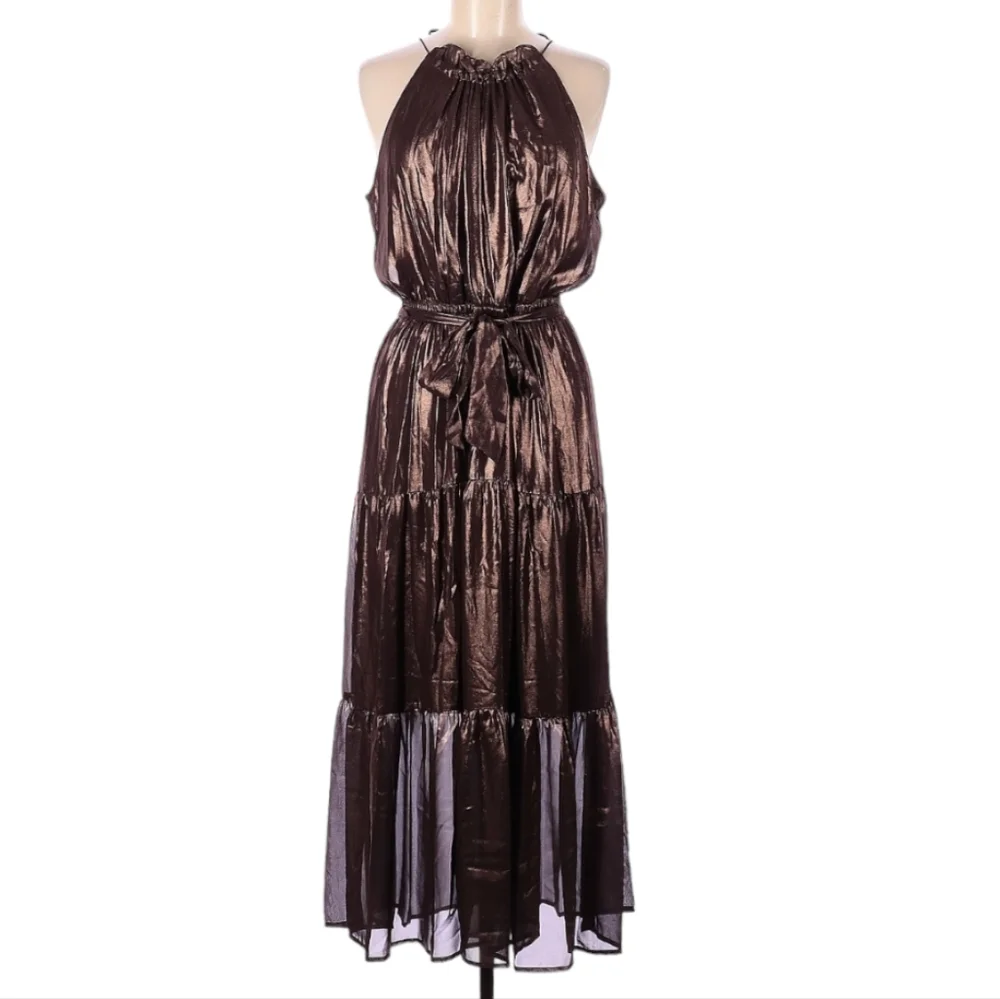 Simply Vera Wang Shimmer Maxi Dress, Naveena Plum, XL, XXL - Picture 3 of 5